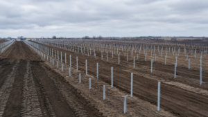 Будівництво сонячної електростанції SPP Development Ukraine в Україні